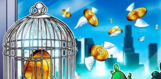 Разработчики Namada анонсировали тестнет и объявили об аирдропе CEO Dash: Выпуск криптовалют центробанками в будущем неизбежен