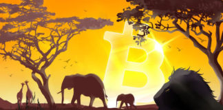 В Нигерии стихийно появился небывалый спрос на Биткоин
